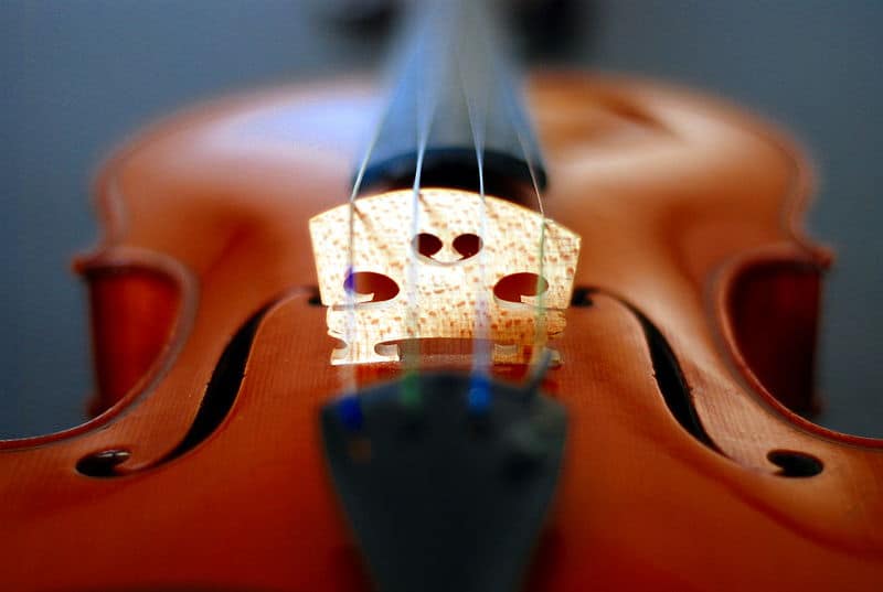 800px-Violin_bridge_fholes